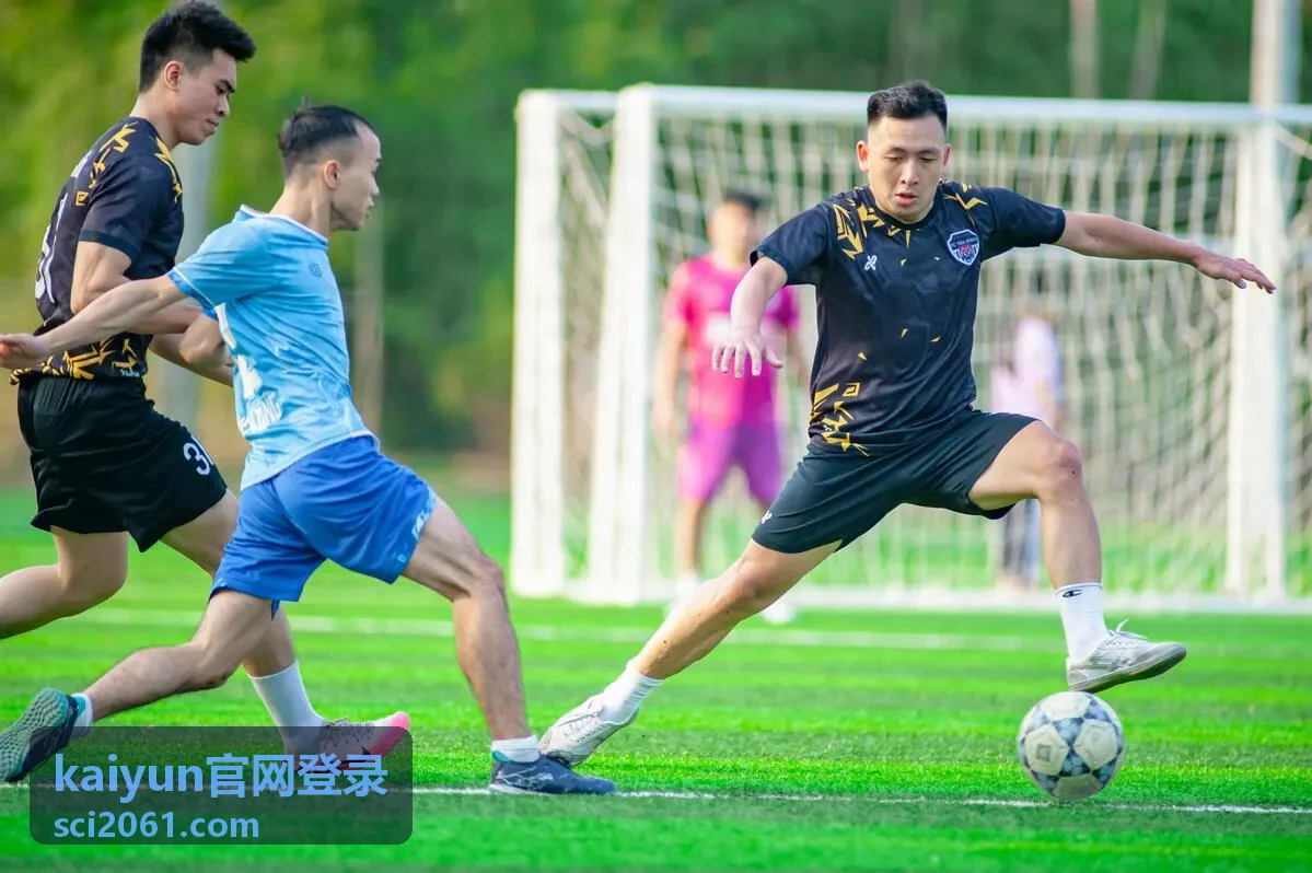 常见疑问合并条目封面