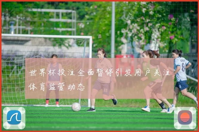 世界杯投注全面暂停引发用户关注体育监管动态