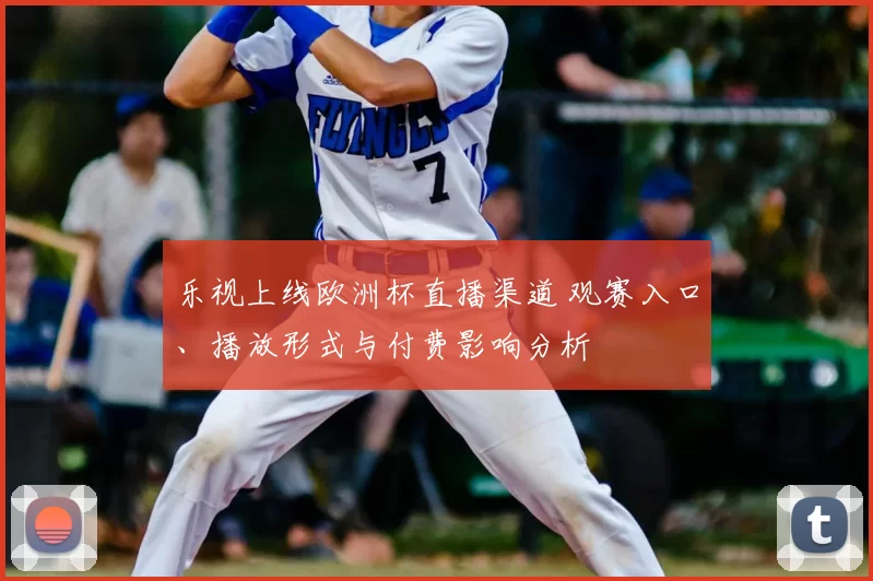 乐视上线欧洲杯直播渠道 观赛入口、播放形式与付费影响分析