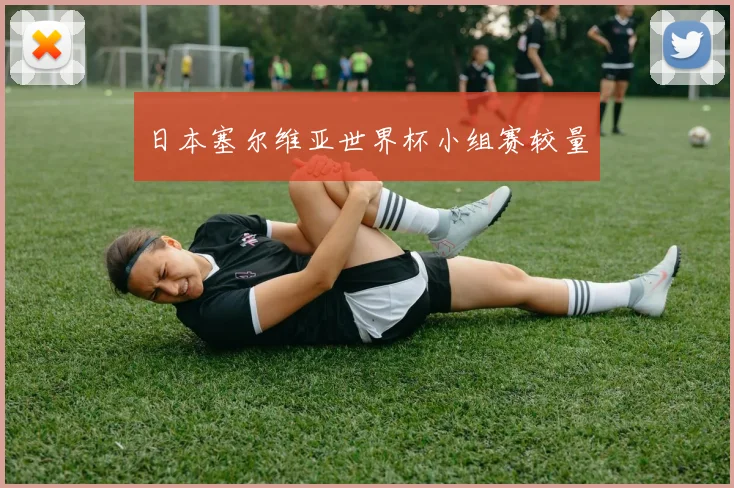日本塞尔维亚世界杯小组赛较量