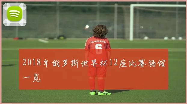2018年俄罗斯世界杯12座比赛场馆一览