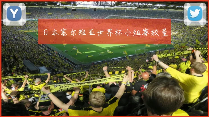 日本塞尔维亚世界杯小组赛较量